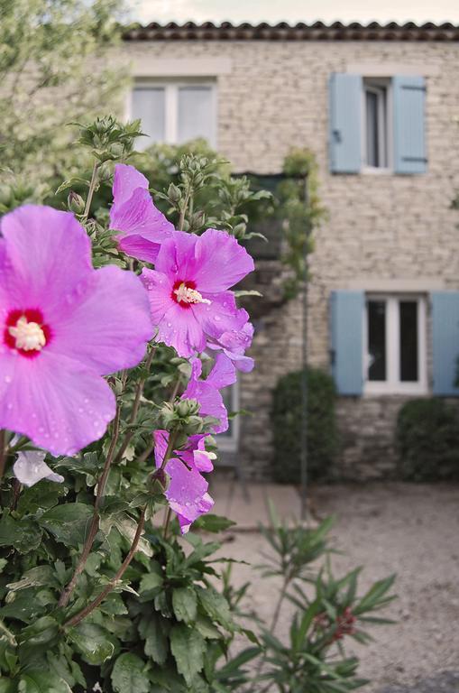 Cypres Du Paradis A Gordes Exterior photo